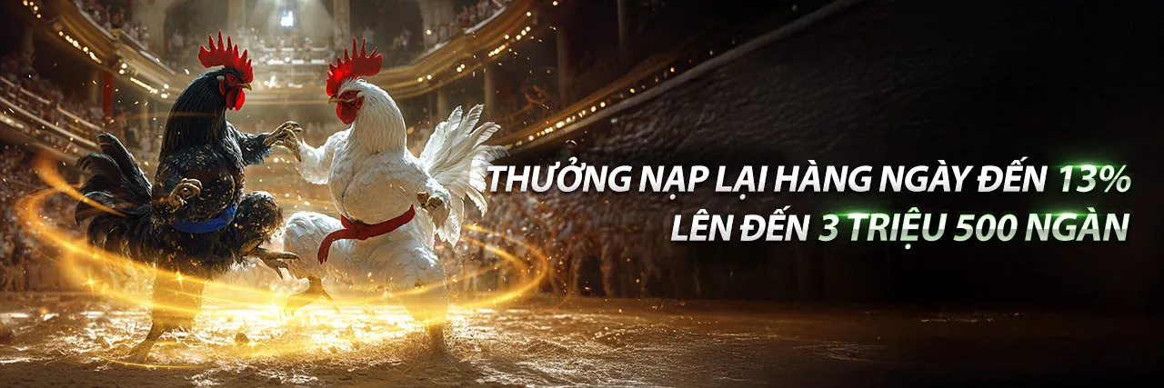Đá Gà Trực Tiếp 8us Nhà Cái